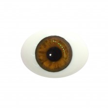 Глаза овальные (рыбки), 12мм ореховые 12CA-09