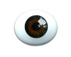 Глаза овальные (рыбки), 14мм коричневые 14CD-10